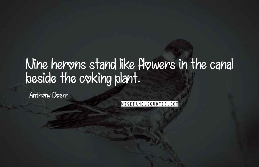 Anthony Doerr Quotes: Nine herons stand like flowers in the canal beside the coking plant.