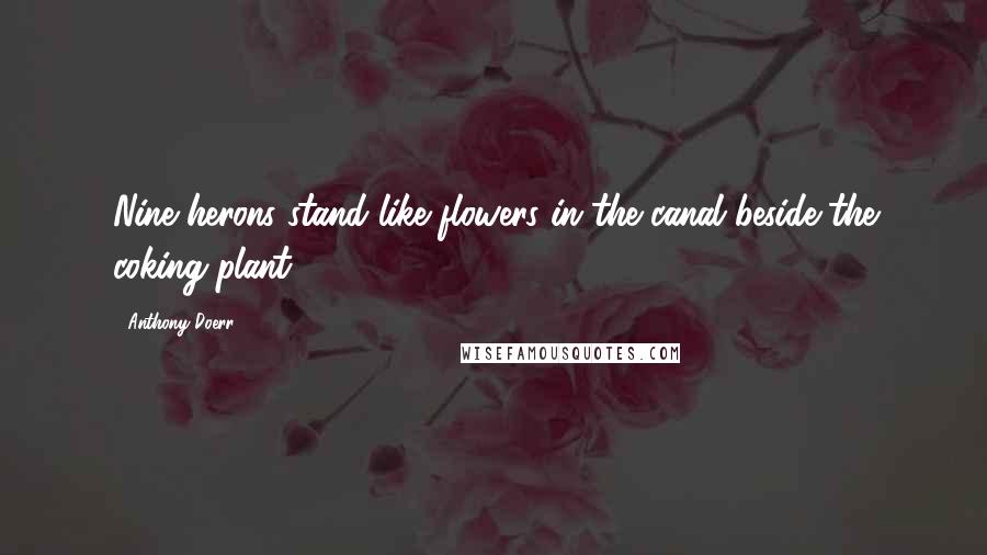 Anthony Doerr Quotes: Nine herons stand like flowers in the canal beside the coking plant.