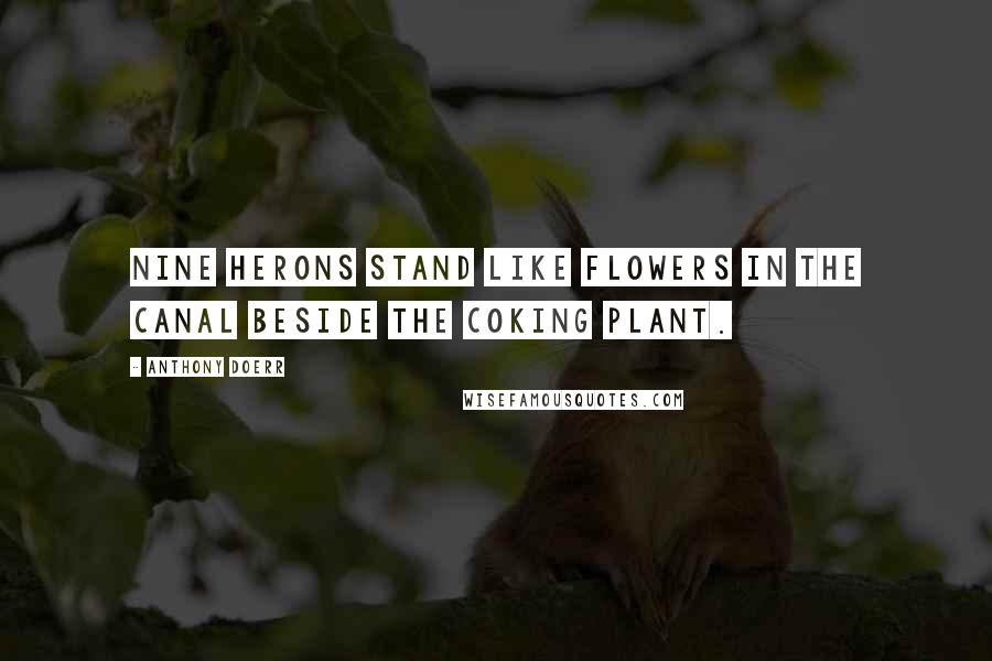 Anthony Doerr Quotes: Nine herons stand like flowers in the canal beside the coking plant.