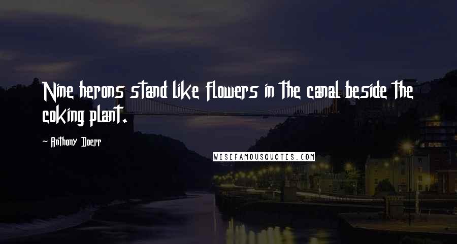 Anthony Doerr Quotes: Nine herons stand like flowers in the canal beside the coking plant.