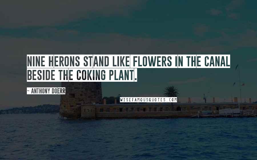 Anthony Doerr Quotes: Nine herons stand like flowers in the canal beside the coking plant.