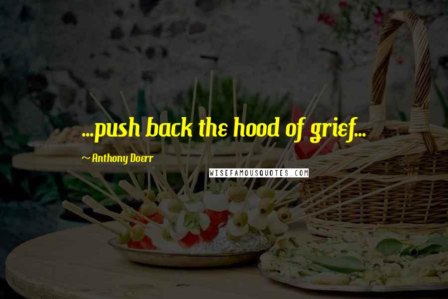 Anthony Doerr Quotes: ...push back the hood of grief...