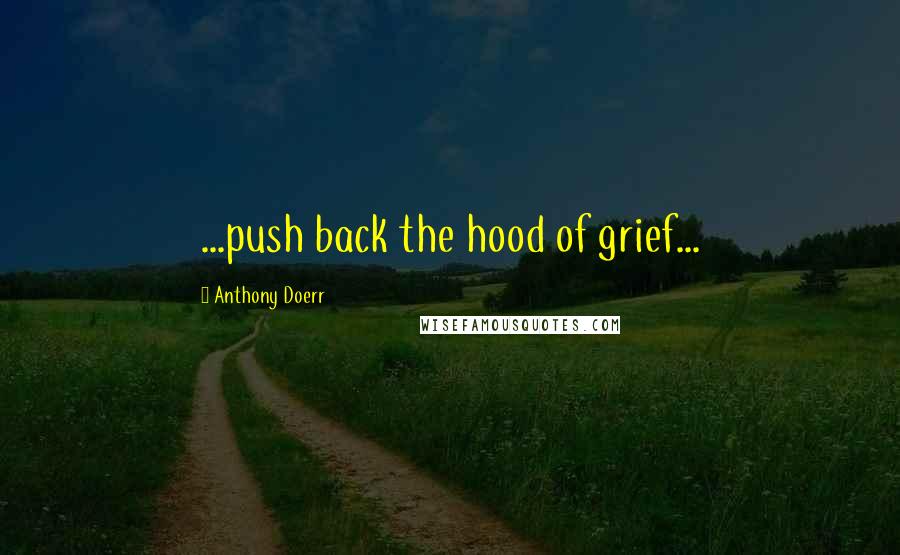 Anthony Doerr Quotes: ...push back the hood of grief...
