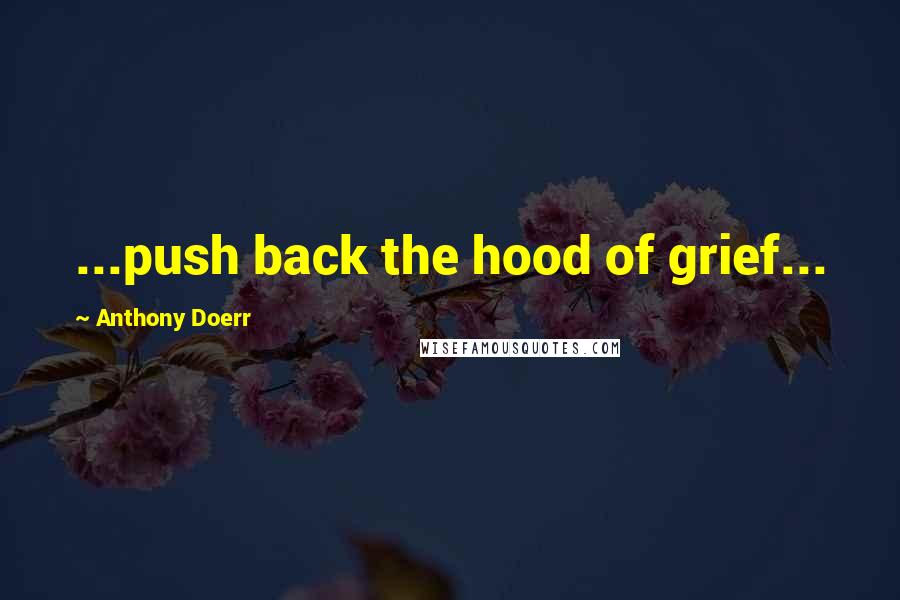 Anthony Doerr Quotes: ...push back the hood of grief...