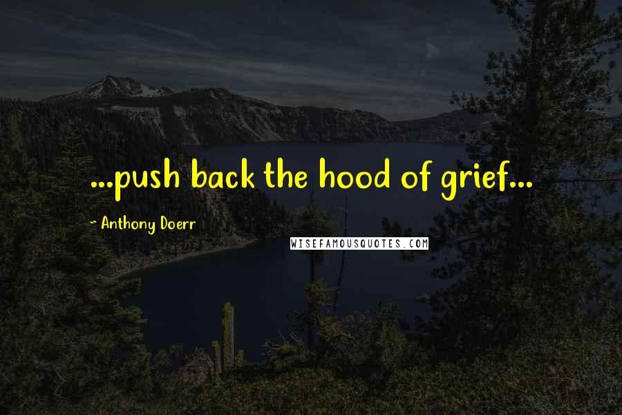 Anthony Doerr Quotes: ...push back the hood of grief...