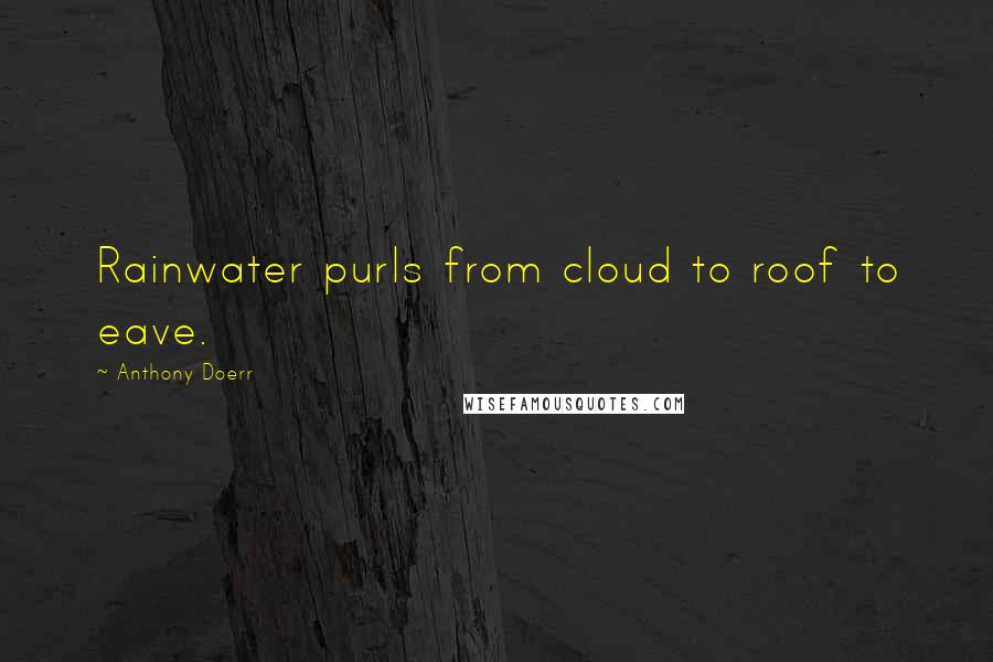 Anthony Doerr Quotes: Rainwater purls from cloud to roof to eave.