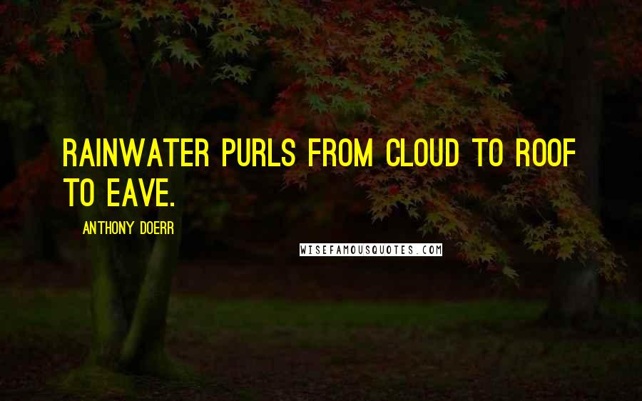 Anthony Doerr Quotes: Rainwater purls from cloud to roof to eave.