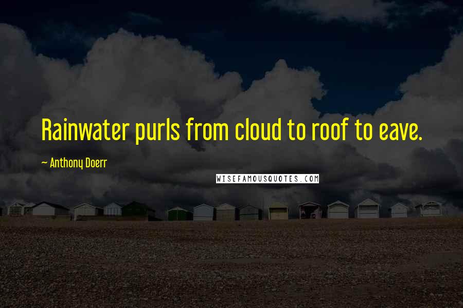 Anthony Doerr Quotes: Rainwater purls from cloud to roof to eave.
