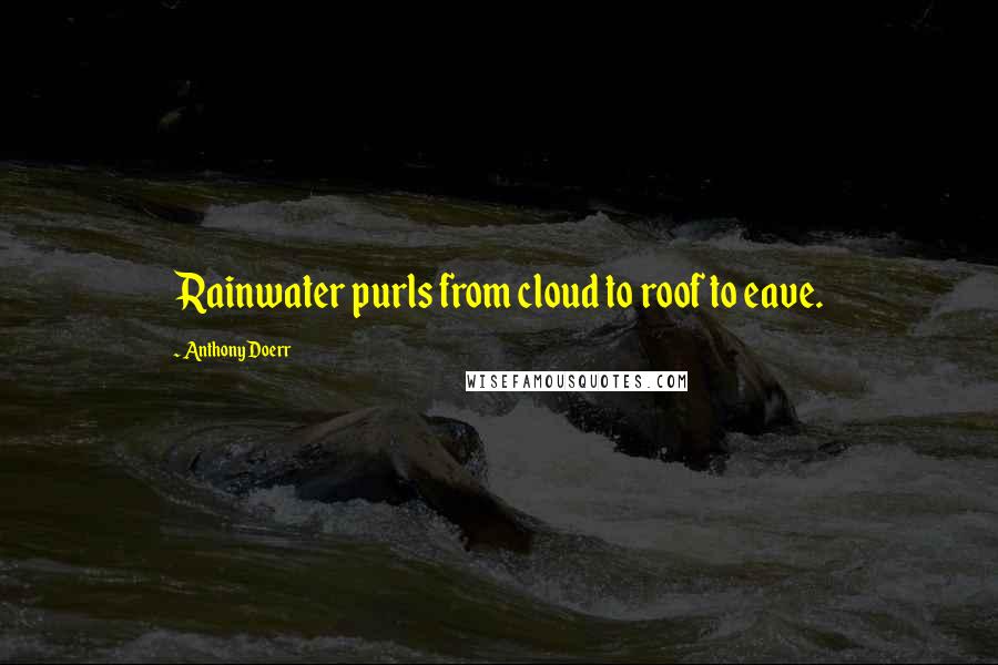 Anthony Doerr Quotes: Rainwater purls from cloud to roof to eave.