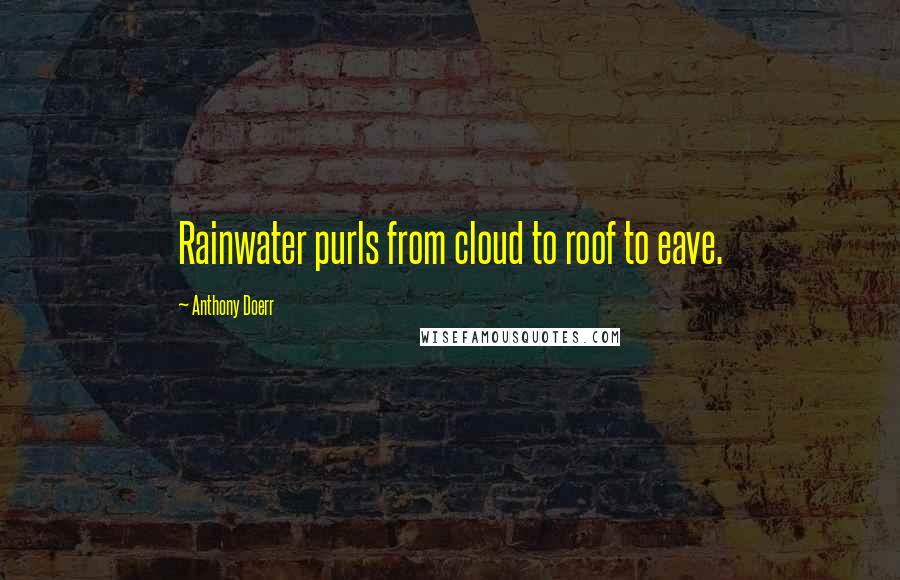 Anthony Doerr Quotes: Rainwater purls from cloud to roof to eave.