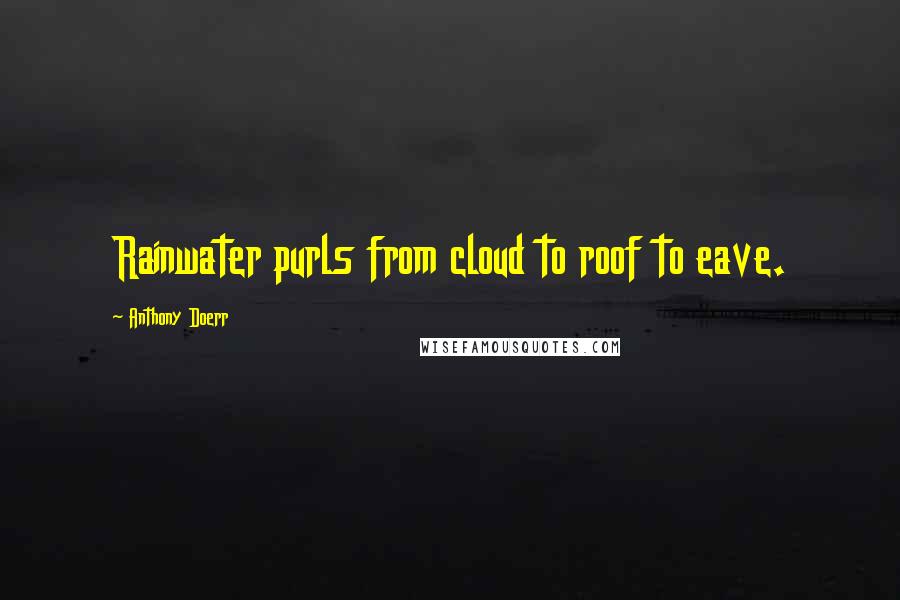 Anthony Doerr Quotes: Rainwater purls from cloud to roof to eave.