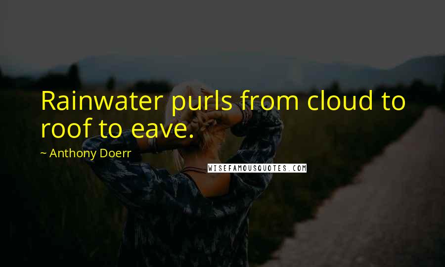 Anthony Doerr Quotes: Rainwater purls from cloud to roof to eave.