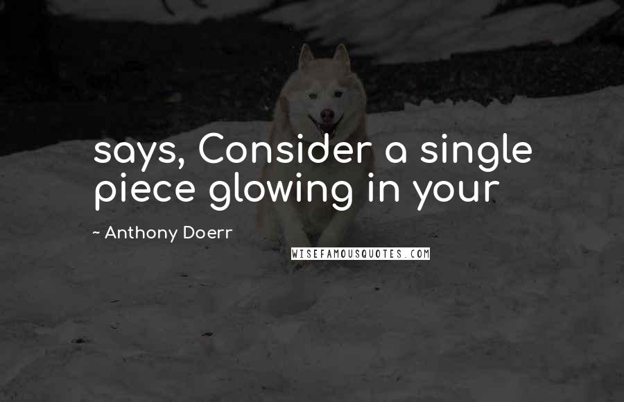 Anthony Doerr Quotes: says, Consider a single piece glowing in your