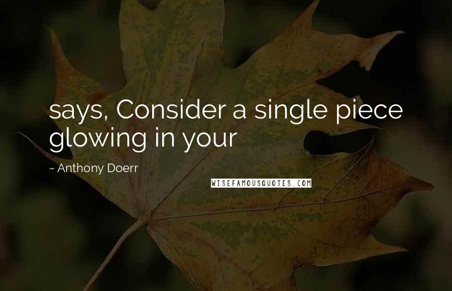 Anthony Doerr Quotes: says, Consider a single piece glowing in your
