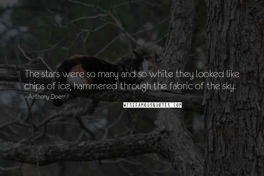 Anthony Doerr Quotes: The stars were so many and so white they looked like chips of ice, hammered through the fabric of the sky.