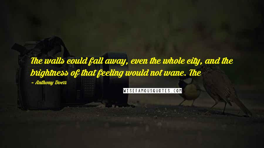 Anthony Doerr Quotes: The walls could fall away, even the whole city, and the brightness of that feeling would not wane. The