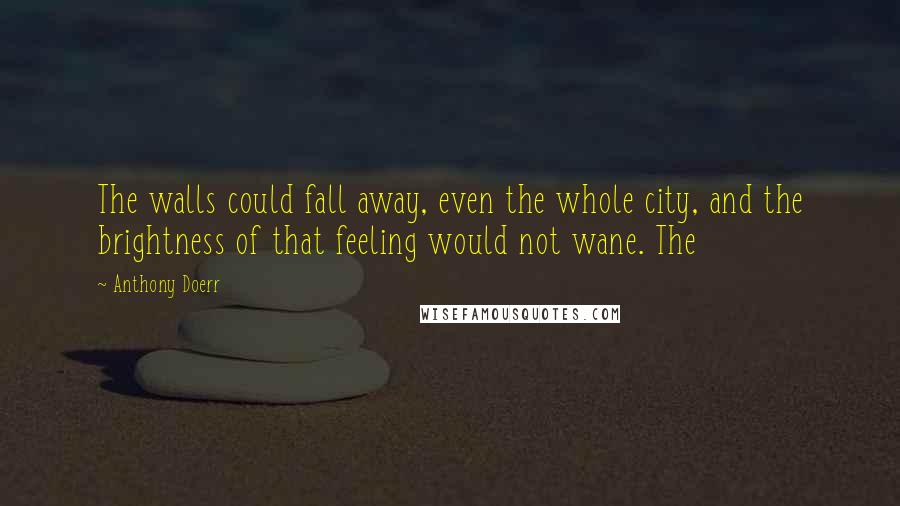 Anthony Doerr Quotes: The walls could fall away, even the whole city, and the brightness of that feeling would not wane. The