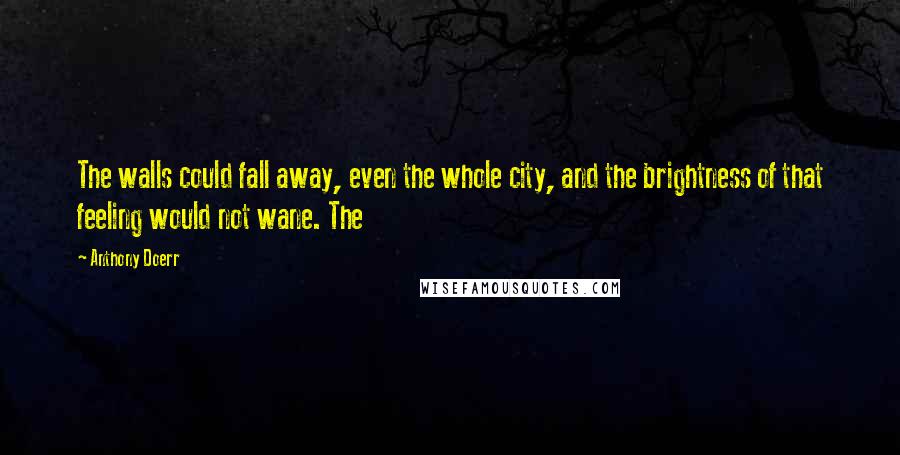 Anthony Doerr Quotes: The walls could fall away, even the whole city, and the brightness of that feeling would not wane. The