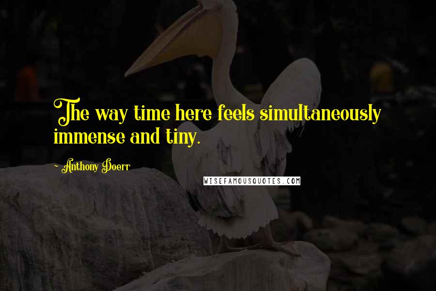 Anthony Doerr Quotes: The way time here feels simultaneously immense and tiny.