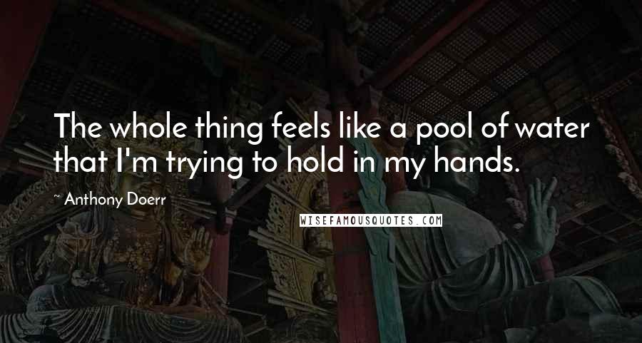 Anthony Doerr Quotes: The whole thing feels like a pool of water that I'm trying to hold in my hands.