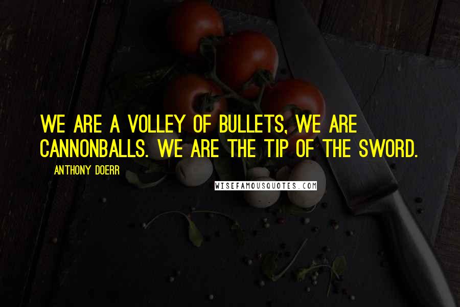 Anthony Doerr Quotes: We are a volley of bullets, we are cannonballs. We are the tip of the sword.