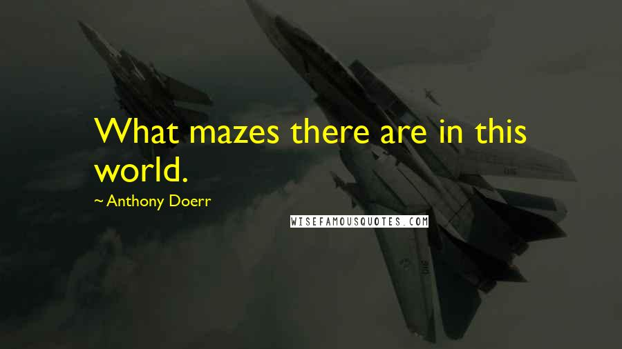 Anthony Doerr Quotes: What mazes there are in this world.