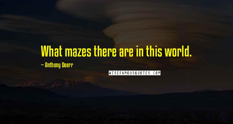 Anthony Doerr Quotes: What mazes there are in this world.