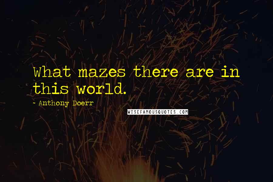 Anthony Doerr Quotes: What mazes there are in this world.