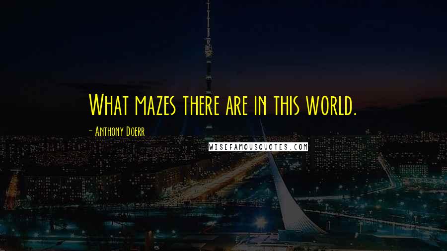 Anthony Doerr Quotes: What mazes there are in this world.