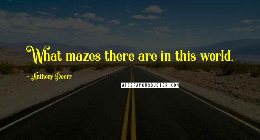 Anthony Doerr Quotes: What mazes there are in this world.