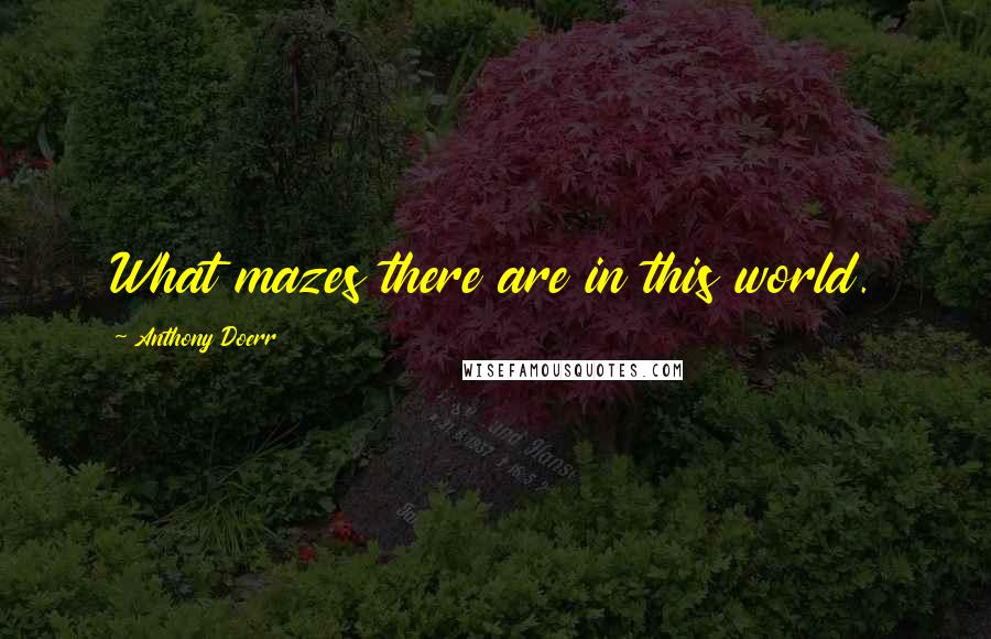 Anthony Doerr Quotes: What mazes there are in this world.