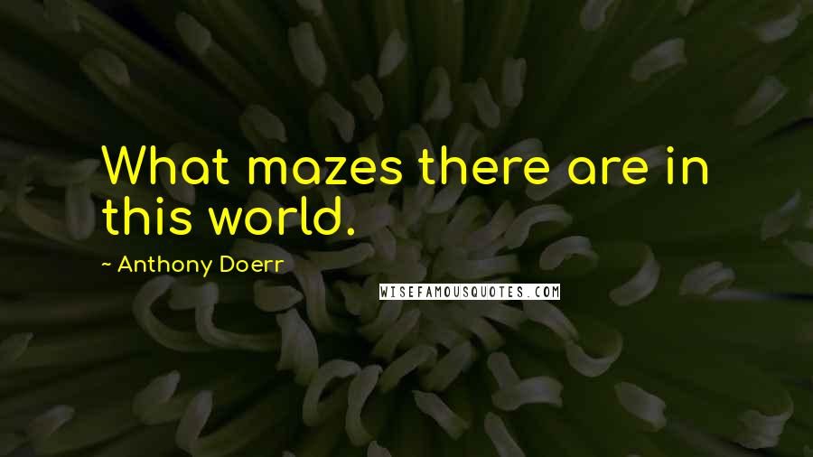 Anthony Doerr Quotes: What mazes there are in this world.