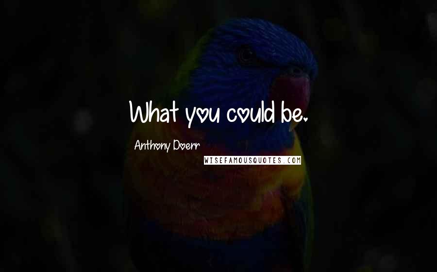 Anthony Doerr Quotes: What you could be.