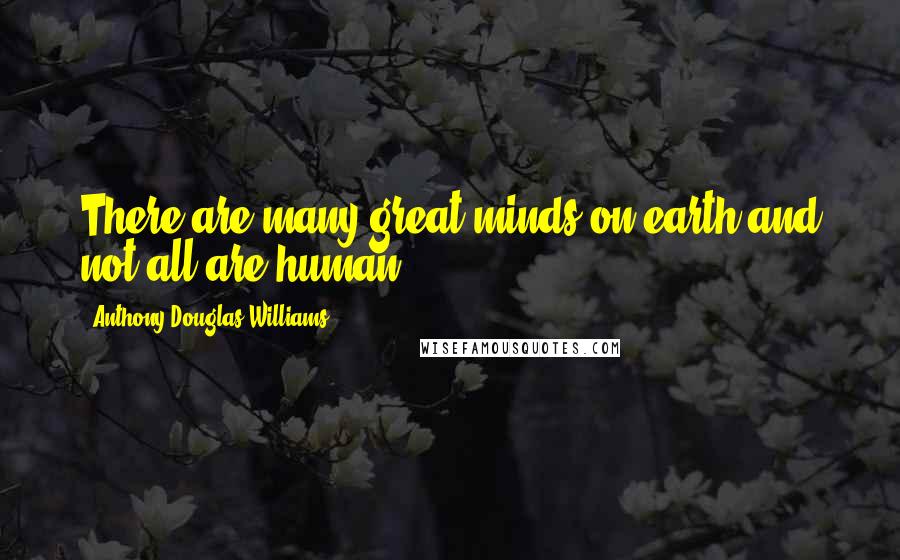 Anthony Douglas Williams Quotes: There are many great minds on earth and not all are human.