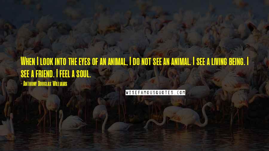 Anthony Douglas Williams Quotes: When I look into the eyes of an animal, I do not see an animal. I see a living being. I see a friend. I feel a soul.