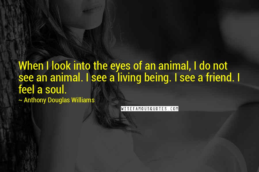 Anthony Douglas Williams Quotes: When I look into the eyes of an animal, I do not see an animal. I see a living being. I see a friend. I feel a soul.