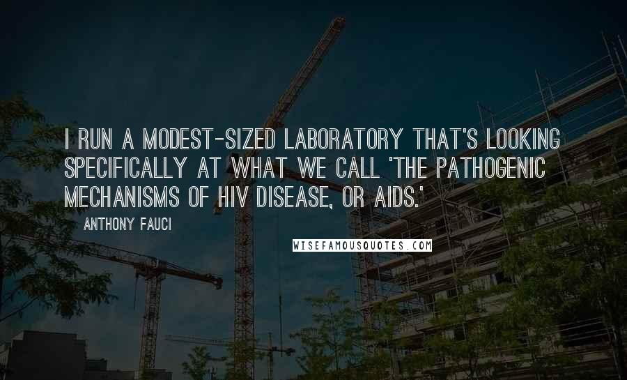 Anthony Fauci Quotes: I run a modest-sized laboratory that's looking specifically at what we call 'the pathogenic mechanisms of HIV disease, or AIDS.'