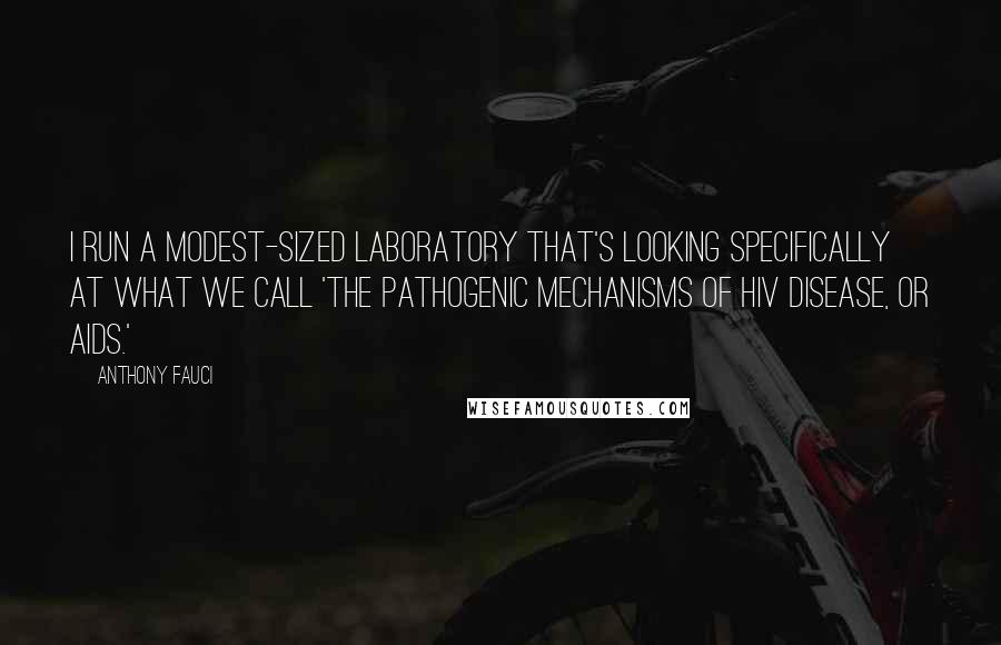Anthony Fauci Quotes: I run a modest-sized laboratory that's looking specifically at what we call 'the pathogenic mechanisms of HIV disease, or AIDS.'