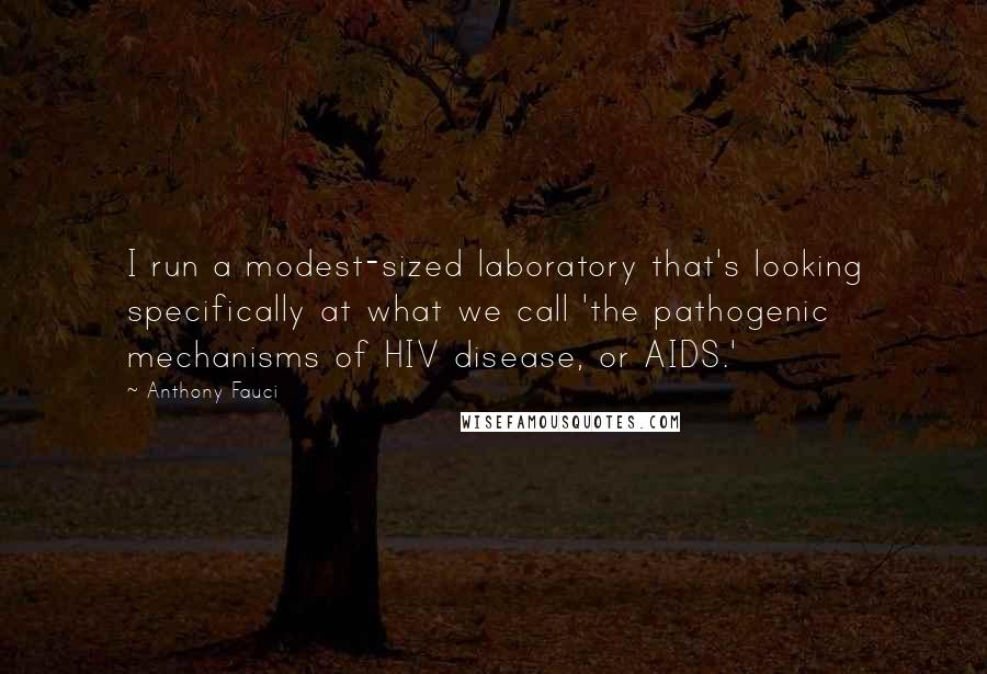 Anthony Fauci Quotes: I run a modest-sized laboratory that's looking specifically at what we call 'the pathogenic mechanisms of HIV disease, or AIDS.'