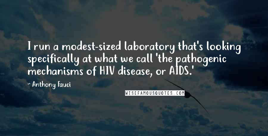 Anthony Fauci Quotes: I run a modest-sized laboratory that's looking specifically at what we call 'the pathogenic mechanisms of HIV disease, or AIDS.'