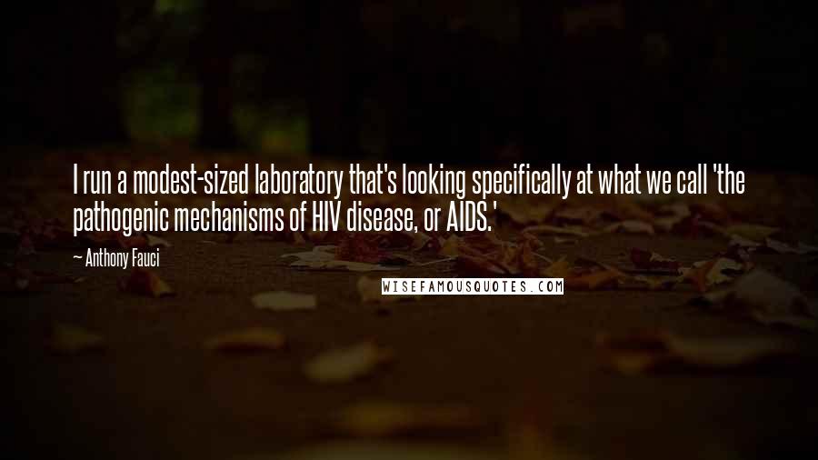 Anthony Fauci Quotes: I run a modest-sized laboratory that's looking specifically at what we call 'the pathogenic mechanisms of HIV disease, or AIDS.'