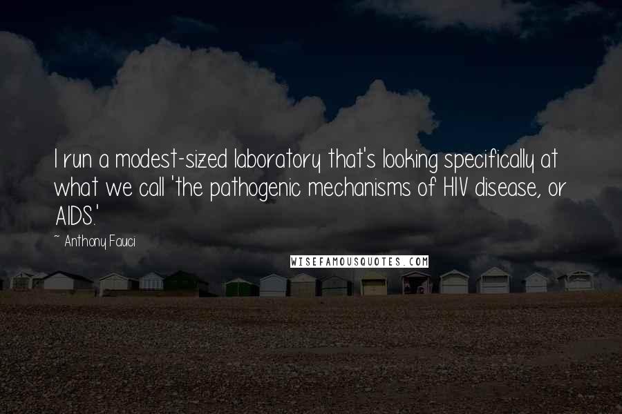 Anthony Fauci Quotes: I run a modest-sized laboratory that's looking specifically at what we call 'the pathogenic mechanisms of HIV disease, or AIDS.'