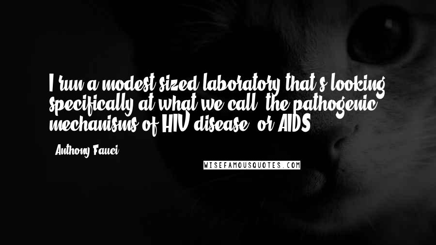 Anthony Fauci Quotes: I run a modest-sized laboratory that's looking specifically at what we call 'the pathogenic mechanisms of HIV disease, or AIDS.'