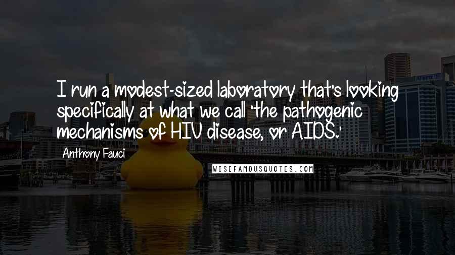 Anthony Fauci Quotes: I run a modest-sized laboratory that's looking specifically at what we call 'the pathogenic mechanisms of HIV disease, or AIDS.'