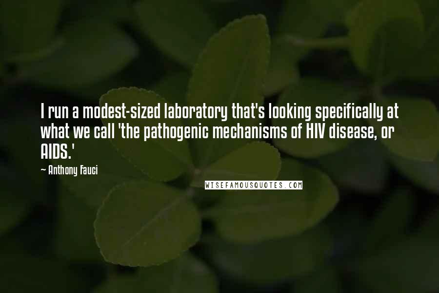 Anthony Fauci Quotes: I run a modest-sized laboratory that's looking specifically at what we call 'the pathogenic mechanisms of HIV disease, or AIDS.'
