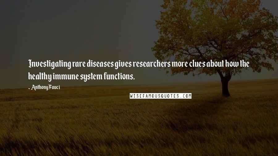 Anthony Fauci Quotes: Investigating rare diseases gives researchers more clues about how the healthy immune system functions.
