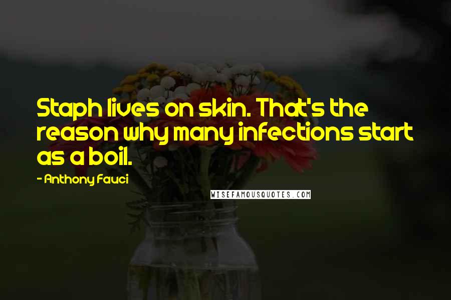 Anthony Fauci Quotes: Staph lives on skin. That's the reason why many infections start as a boil.
