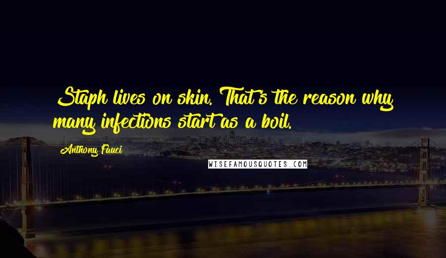 Anthony Fauci Quotes: Staph lives on skin. That's the reason why many infections start as a boil.