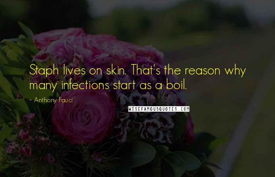 Anthony Fauci Quotes: Staph lives on skin. That's the reason why many infections start as a boil.