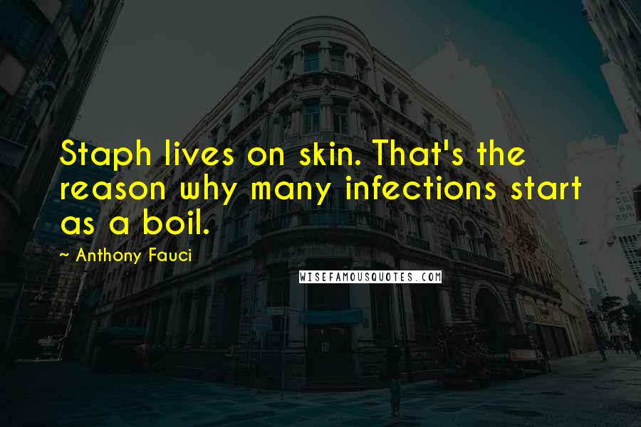 Anthony Fauci Quotes: Staph lives on skin. That's the reason why many infections start as a boil.